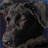 identical dog head images with 'Misty' text, featuring animated heart and question mark symbols