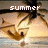 Animated sequence showing a beach scene with palm trees and a sunset, transitioning through text overlays reading 'SUMMER', 'of', and '2007'.