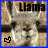 A static image shows a pixelated llama face with the word 'Llama' above it, next to an orange square with green text reading 'Llama Llama DUCK!!!' and a small black heart symbol.