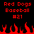 Red text on black background reads "Red Dogs Baseball #21" with red flame shapes at the bottom, repeated twice horizontally.