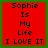 Four identical red square with green borders display black pixelated text reading "Sophie Is My Life I LOVE IT" in a