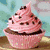 Animated sequence showing four distinct cupcake designs with text overlays on each.