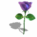 Animated sequence of a purple rose with green leaves and stem, showing variations in leaf color and shadow position across frames.