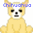 Pixelated yellow Chihuahua dog with black eyes and nose, blue text "Chihuhua" above its head on white background.