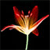 A pixelated flower with red and orange petals, a light yellow center, and a green stem against a black background.