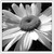 A grayscale pixelated icon with a central circular shape surrounded by radiating lines and dark triangular elements at the corners.