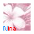 A pink floral image with the text 'Nina' in blue and red, showing animation changes across frames.