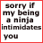 Two side-by-side pixelated text with red and black borders, each displaying the phrase 'sorry if my being a ninja intimidates you' in dark gray block letters on white backgrounds