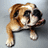 Animated pixelated image of a brown and white bulldog puppy lying down, first with eyes closed then opening to reveal pink tongue.