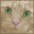 A static pixelated close-up of a light brown cat's face showing green eyes and a pink nose against a beige background.
