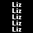 white 'Liz' text on black background with red rectangular overlays in various positions