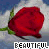 A red rose with green leaves against a blue sky and white clouds, labeled 'BEAUTIFUL' in pixelated text below.