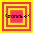 *sammie* text in black pixel font centered over four pink and yellow square layers, with the innermost layer changing size across frames.