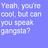 Blue background with white text in three sections: top-left asks if someone speaks gangsta, top-right invites to chill with hipster snoop dawg, bottom-left says thought they'd be jealous.