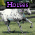Animated sequence showing a white horse running left to right, a close-up of a horse's eye, and a brown horse running with text overlays.