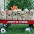 A pixelated image shows a red wagon with white wheels on green grass, surrounded by fluffy white dogs, with a small orange object above them, and pink text reading 'WE'RE CLOSER THAN EVER!' on a black background.
