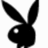 Black silhouette of a rabbit head with long ears on white background, yellow with pixelated text reading "I Am A Play Boy Pimp Ya! You Are Not"