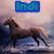 A horse in mid-gallop against a cloudy sky, with text 'Indi' above it; the image shows of motion