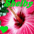 Two side-by-side pixelated images of pink flowers with green leaves, each displaying the name 'Shelby' in different colors and a heart symbol below.