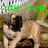 Green pixelated text 'Cutie Puppy' overlaid on a pixelated image of a light-colored dog with dark facial markings and brown paws, set against a blurred outdoor background.