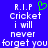 Blue background with white pixelated text reading 'R.I.P Cricket i will never forget you' and a green heart symbol above the text.