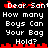 Pixelated text displays 'Dear Sant' above repeated lines of 'How many Boys Can Your Bag Hold?' with red waveform graphics on black background.