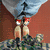 Animated icon shows two anime-style figures under a blue flag, transitioning to text "I Love You" over a grayscale image of legs and feet.