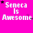 A bright pink background displays repeated text "Seneca Is Awesome" with scattered black and purple stars, some of which change position across frames.