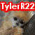 six identical images showing a small dog with light brown and white fur, each overlaid with the text "Tyler R22" in different colored outlines