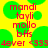 Pixelated text in red on yellow background with green circular shapes, displaying 'mandi', 'tayli', 'mollo', 'bffs', and '4ever <333' across two identical frames.