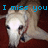 Pixelated dog with white fur and red collar on dark background, text overlays change across frames.