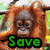 Animated sequence showing an orangutan in three : a close-up of its face, a side view hanging from a branch, and a baby orangutan being held