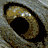 A pixelated owl's face transitions from close-up eyes to a full head view with 'Harry Potter' text on the right.