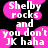 Pixelated text on black background with pink circular shapes, displaying 'Shelby rocks and you don't JK haha' in white block letters.
