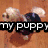 Four- of pixelated dog images with overlaid text: top-left shows two puppies on brown surface, top-right a golden retriever holding object, bottom-left three dogs sleeping, bottom-right empty gray