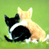 Animated contact sheet showing two cats on grass with a blue banner containing text, arranged in a 2x2 grid layout.