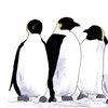 Animated sequence of penguins in a line, with one penguin changing from a standard pose to a spiky-haired pose while text appears.
