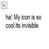A small square icon with a red X inside a gray border appears above pixelated text reading 'ha! My icon is so cool its invisible' on a white background.
