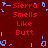 Red background with repeated red text "Sierra Smells Like Butt" and scattered blue pixelated shapes.