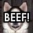A four- shows a dog's face with changing expressions and text overlays, including "BEEF!" in the top-left