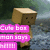 Pixelated character with brown hair and neutral expression holding pink text boxes over a blurred background.