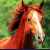 Pixelated close-up of a horse's head with reddish-brown mane against green foliage background.