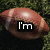 A football-shaped object with a brown leather texture appears in four against a green grass background, each displaying different text overlays