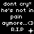 Black background with white pixelated text repeating 'dont cry' and 'he's not in pain', followed by 'aymore...<3' and 'R.I.P' with varying symbols.
