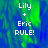 Pixelated text 'Lily + Eric RULE!' on a blue-green gradient background with a gray on the right