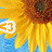 A split-screen animated icon shows a sunflower on the left and clouds on the right, with text elements changing between frames.