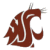 Static pixelated icon of a brown mascot head with white accents, likely representing the Washington Cougars, on a transparent background.