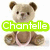 Four identical teddy bear icons arranged in a , each with a green text banner displaying different words