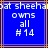 Blue background with orange and brown lines, white pixelated text reading 'boat sheeha', 'owns all #14' in two identical