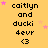 Yellow background with repeated text and pink stars, showing a static pattern of 'caitlyn and ducki 4evr <3' in black pixelated font.
